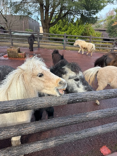 ラウンジリオ中洲 すず 🐴1