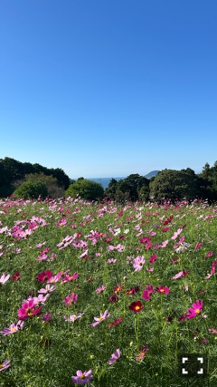 ラウンジリオ中洲 ゆな 𓂃🌿𓈒𓏸1