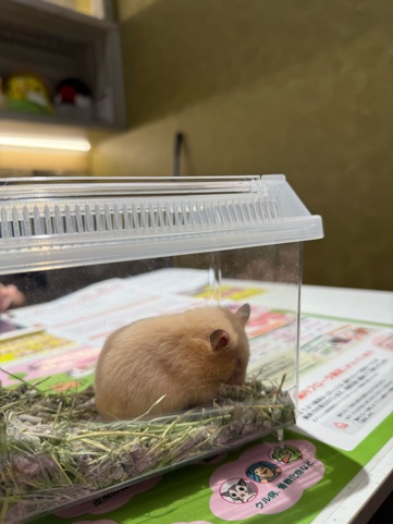 ラウンジリオ博多 あいる おともだち1