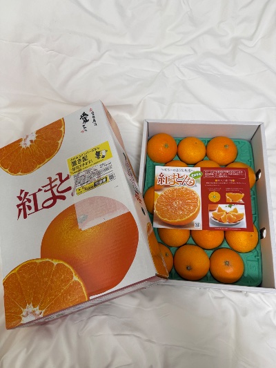 ラウンジリオ博多 あいる 今年もこの季節です🍊1