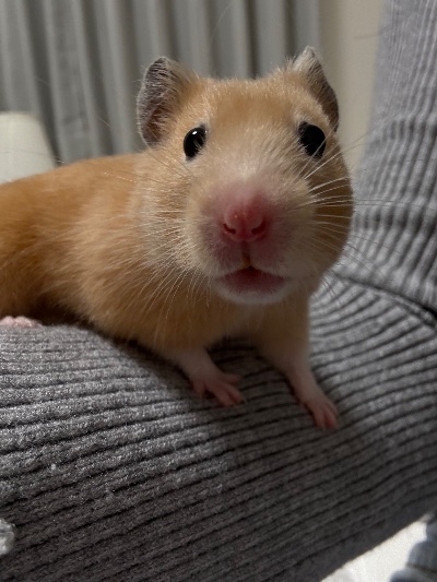 ラウンジリオ博多 あいる 残り4日⁉️1