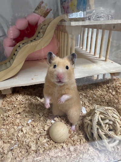 ラウンジリオ博多 あいる 本日も出勤してます❣️1