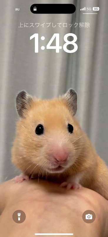 ラウンジリオ博多 あいる 本日華金✨出勤です!1