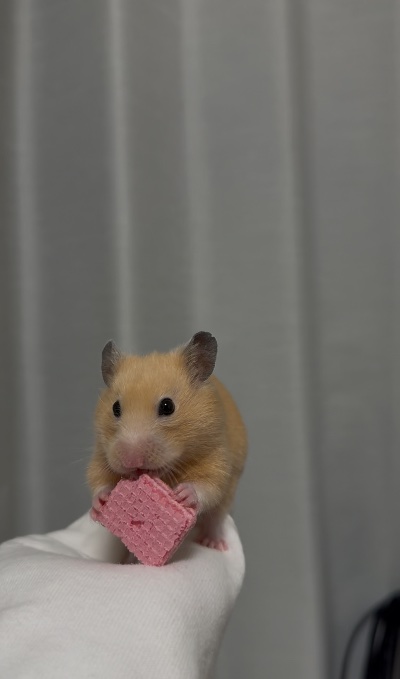 中洲　キャバクラ　キャバ嬢日記