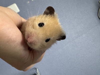 ラウンジリオ博多 はる 🐨211