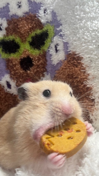 ラウンジリオ博多 はる 🐰71