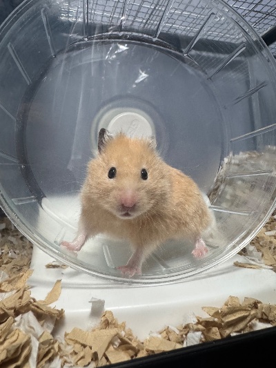 ラウンジリオ博多 はる 🐰111