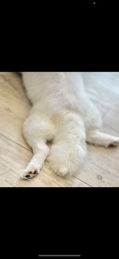 ラウンジリオ博多 かずは おちり♡1