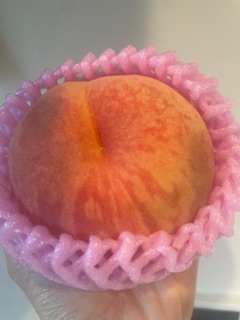 ラウンジリオ博多 かずは 美味しい~1