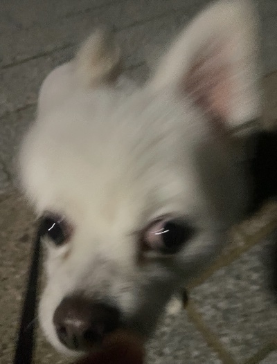 ラウンジリオ博多 かずは えいっ!1