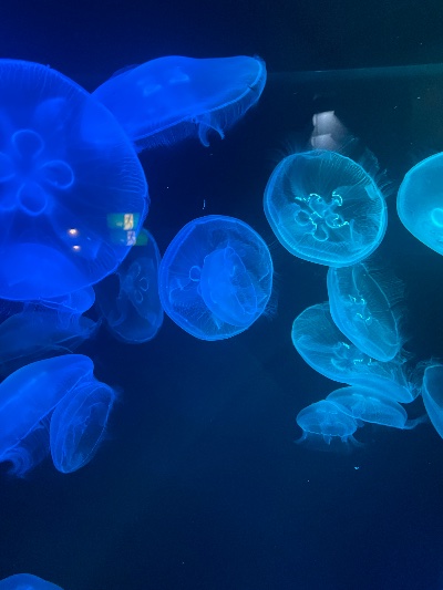 ラウンジリオ博多 こと 🪼1