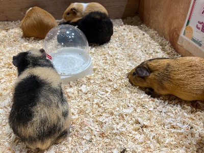 ラウンジリオ博多 こと モルカー1