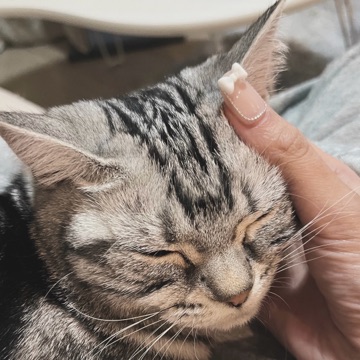 ラウンジリオ博多 みな 31日1