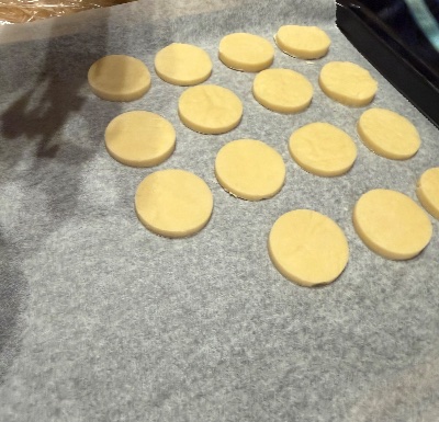 ラウンジリオ博多 のぞみ こねこね1