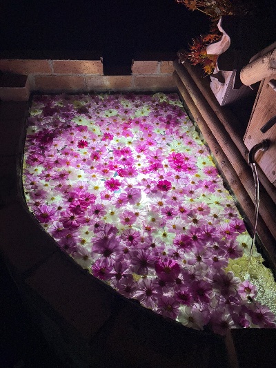 ラウンジリオ博多 るあな お休み1