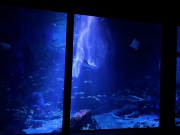 ラウンジリオ博多 るか 🐟1