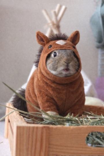 ラウンジリオ博多 るか 🎍1