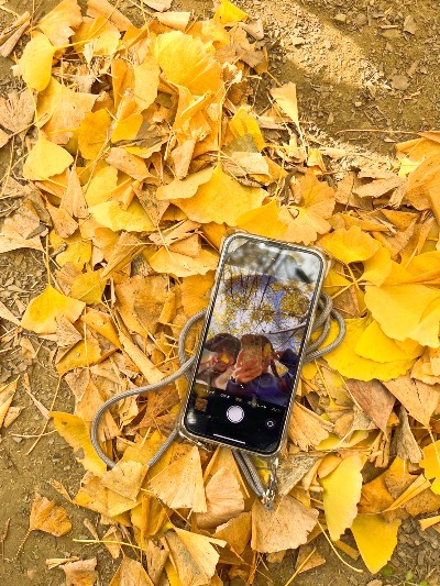 ラウンジリオ博多 さら 今年の振り返り1