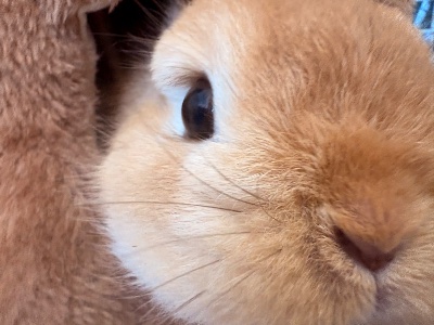 ラウンジリオ博多 うめか しゅっきん1