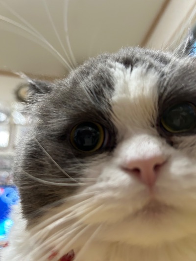 ラウンジリオ博多 うた 🐱1