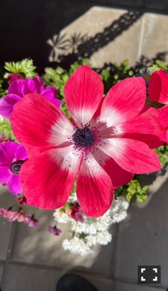 ラウンジリオ博多 ゆうか オハナ🌺1