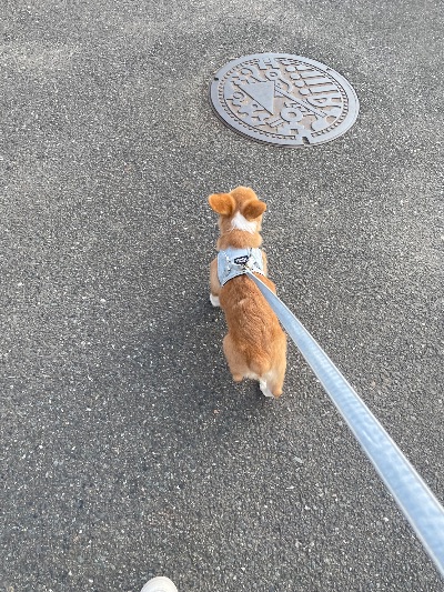 中洲　キャバクラ　キャバ嬢日記