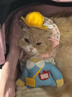 ラウンジリオ香椎 せいな 🐰1