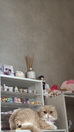 ラウンジリオ香椎 せいな 🌻1