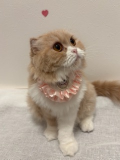 ラウンジリオ香椎 せいな 🌙1