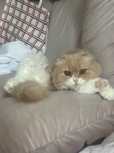 ラウンジリオ香椎 せいな 🎃1