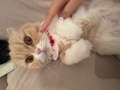 ラウンジリオ香椎 せいな 🎃1