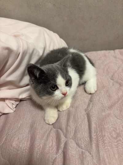 ラウンジリオ香椎 せいな 🎃1