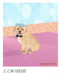 ラウンジリオ大橋 ここあ 🐶1