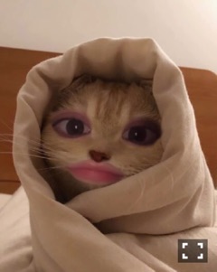 ラウンジリオ大橋 ここあ 🐍1