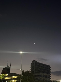 ラウンジリオ大橋 ここあ 🐍1