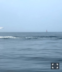 ラウンジリオ大橋 ここあ 🐍1