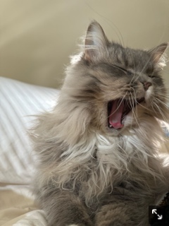 クラブ リオ新橋 まりあ まりあです1