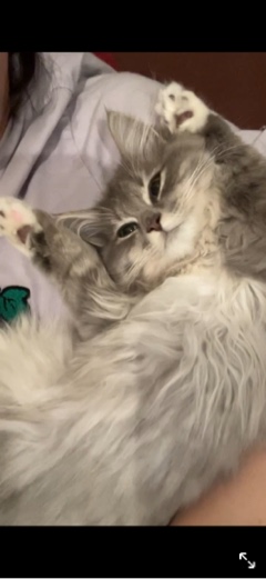 クラブ リオ新橋 まりあ まりあだよ1