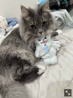 クラブ リオ新橋 まりあ まりあだよ1