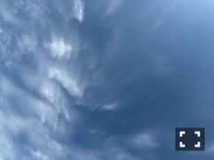 クラブ リオ新橋 さあや 今日の1日🐣1