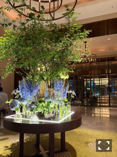 クラブ リオ新橋 さあや おしゃれな場所✨✨1