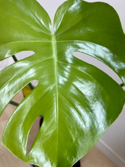 中洲　キャバクラ　キャバ嬢日記