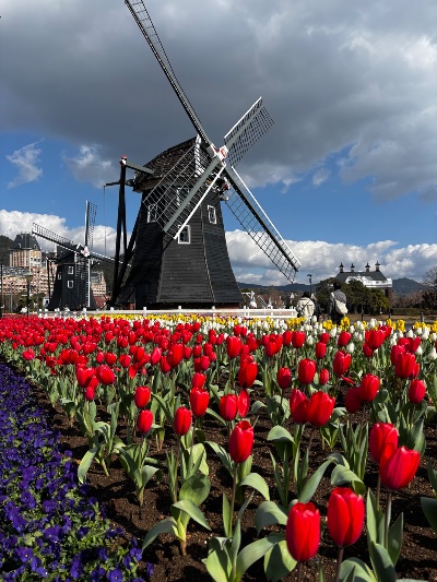 クラブ ライズ ひなた お昼の1