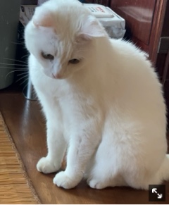 クラブ ライズ なみ 🐱1