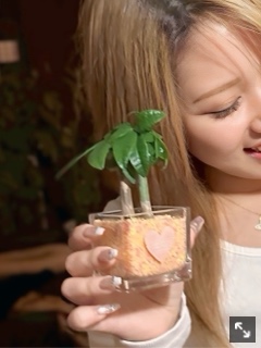 クラブ ライズ なみ 🪴1