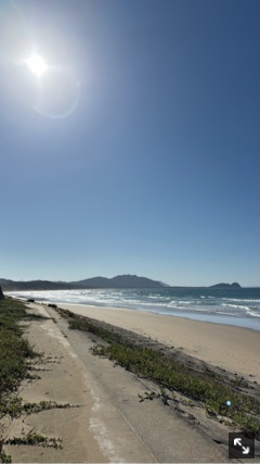 クラブ ライズ なみ 🌊1