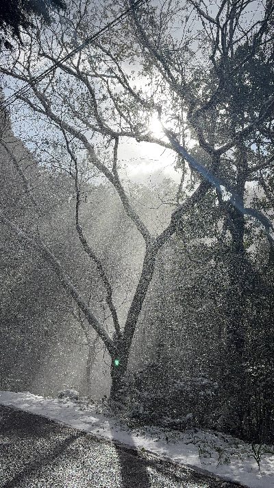 クラブ ライズ なみ 雪景色☃️1