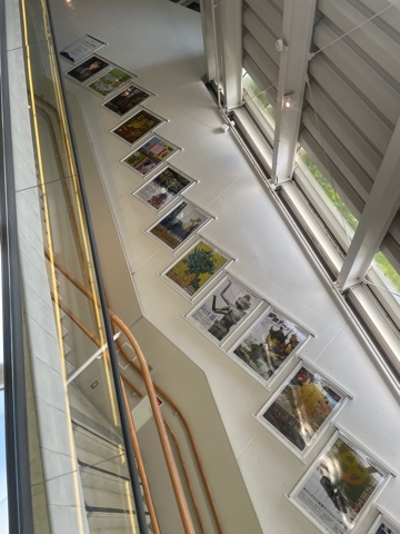 クラブ ライズ ナナ ★1