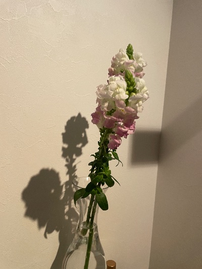 クラブ ライズ ナナ ★1