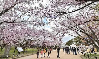 中洲　キャバクラ　キャバ嬢日記